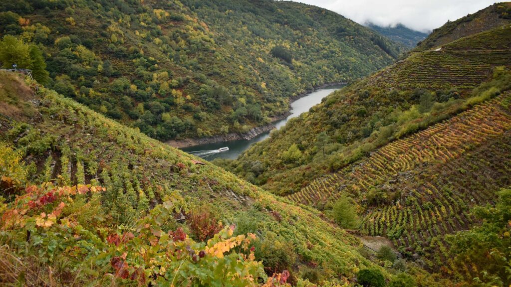 Ribeira Sacra Navegacion Otoño