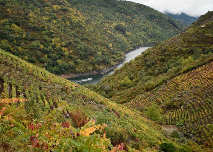 Ribeira Sacra Navegacion Otoño