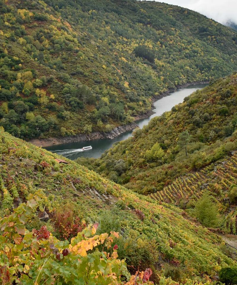 Ribeira Sacra Navegacion Otoño